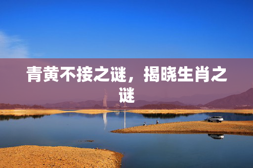 青黄不接之谜，揭晓生肖之谜