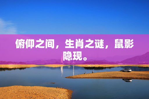 俯仰之间，生肖之谜，鼠影隐现。