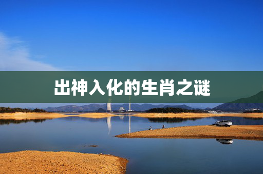 出神入化的生肖之谜