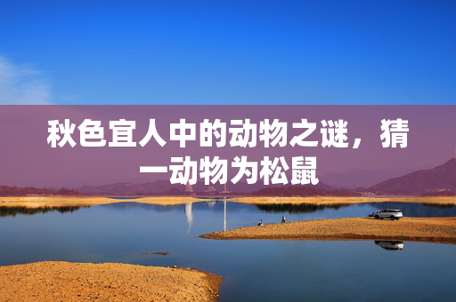 秋色宜人中的动物之谜，猜一动物为松鼠