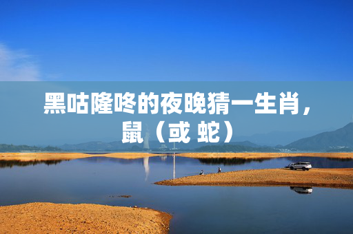 黑咕隆咚的夜晚猜一生肖，鼠（或 蛇）