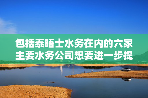 包括泰晤士水务在内的六家主要水务公司想要进一步提高水费