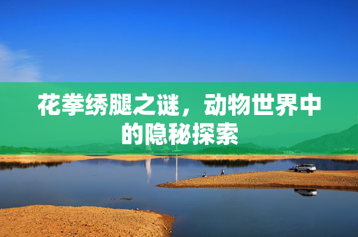 花拳绣腿之谜，动物世界中的隐秘探索