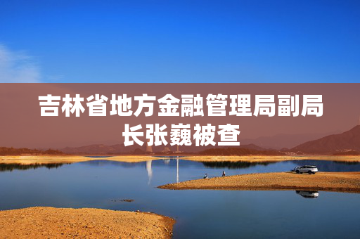 吉林省地方金融管理局副局长张巍被查