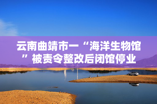 云南曲靖市一“海洋生物馆”被责令整改后闭馆停业