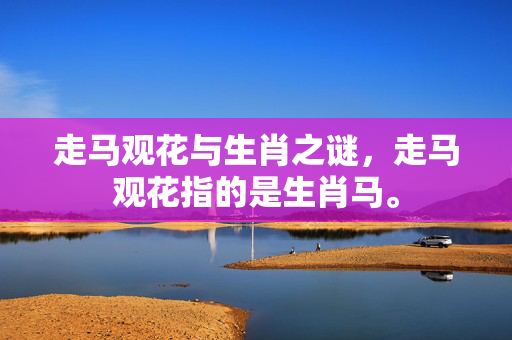 走马观花与生肖之谜，走马观花指的是生肖马。