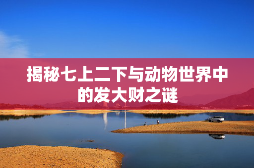 揭秘七上二下与动物世界中的发大财之谜