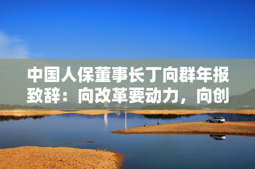 中国人保董事长丁向群年报致辞：向改革要动力，向创新要活力，向管理要效益