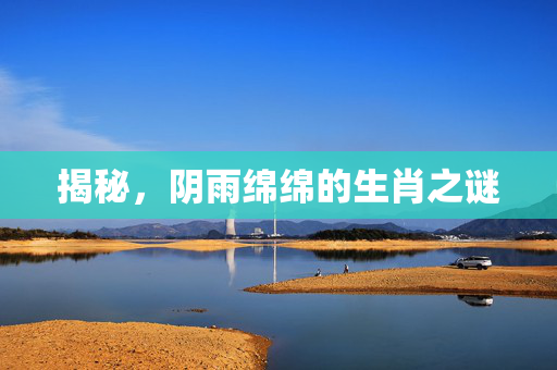 揭秘，阴雨绵绵的生肖之谜