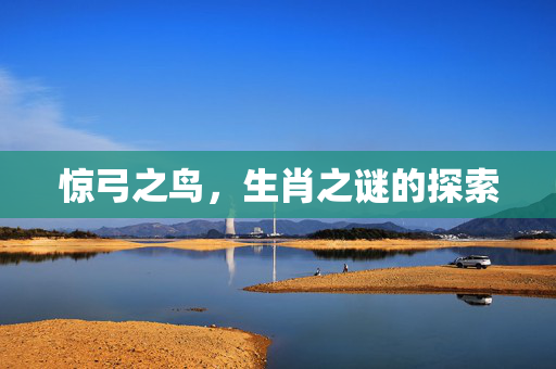 惊弓之鸟，生肖之谜的探索