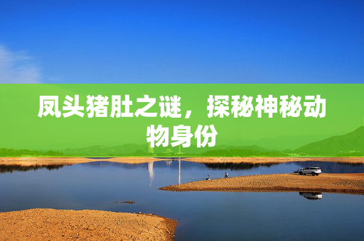 凤头猪肚之谜，探秘神秘动物身份