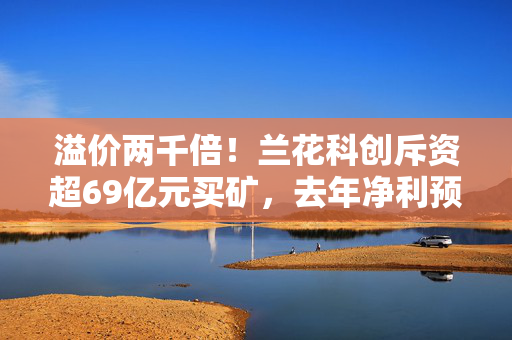 溢价两千倍！兰花科创斥资超69亿元买矿，去年净利预减六成