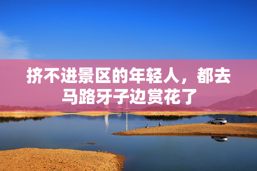 挤不进景区的年轻人，都去马路牙子边赏花了