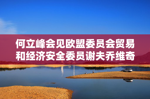 何立峰会见欧盟委员会贸易和经济安全委员谢夫乔维奇