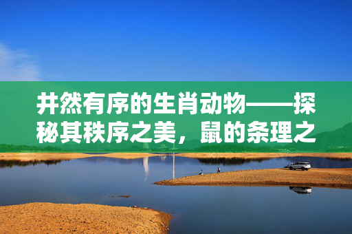 井然有序的生肖动物——探秘其秩序之美，鼠的条理之美