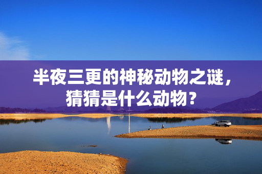 半夜三更的神秘动物之谜，猜猜是什么动物？