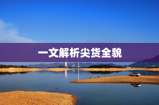 一文解析尖货全貌