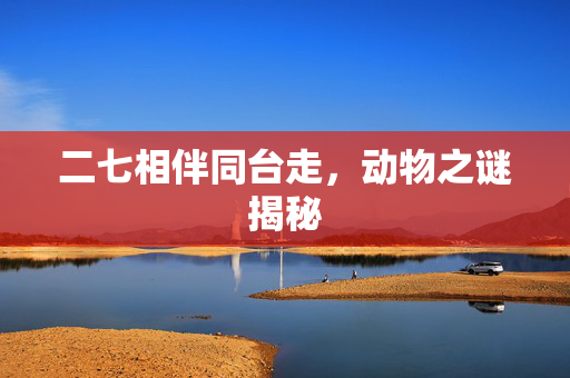 二七相伴同台走，动物之谜揭秘