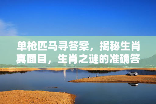单枪匹马寻答案，揭秘生肖真面目，生肖之谜的准确答案揭晓