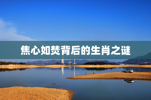 焦心如焚背后的生肖之谜