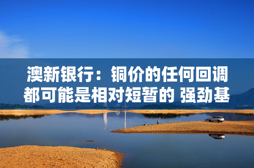 澳新银行：铜价的任何回调都可能是相对短暂的 强劲基本面将提供支撑
