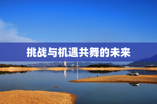 挑战与机遇共舞的未来