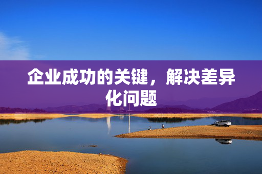 企业成功的关键，解决差异化问题
