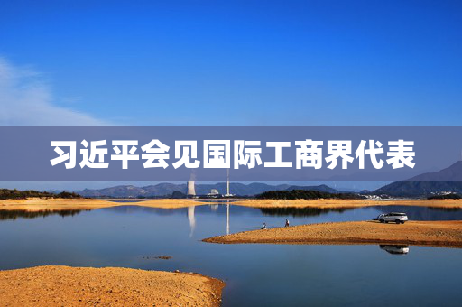 习近平会见国际工商界代表
