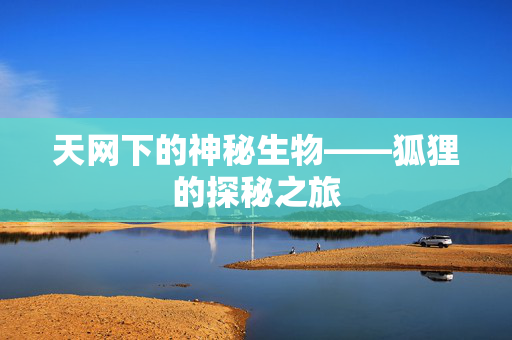 天网下的神秘生物——狐狸的探秘之旅
