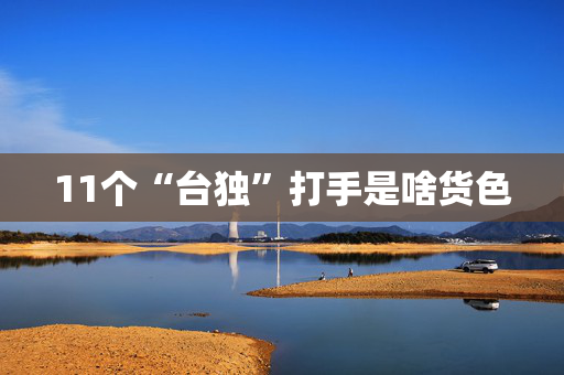 11个“台独”打手是啥货色