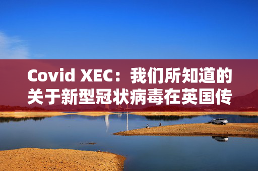 Covid XEC：我们所知道的关于新型冠状病毒在英国传播的一切