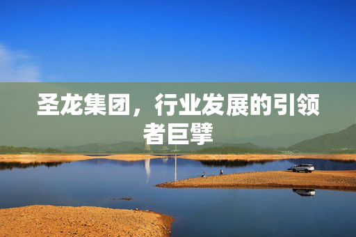 圣龙集团，行业发展的引领者巨擘