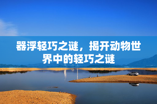 器浮轻巧之谜，揭开动物世界中的轻巧之谜
