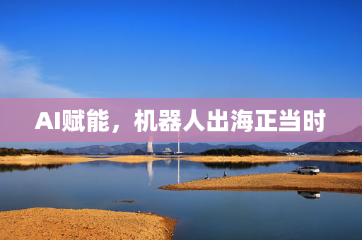AI赋能，机器人出海正当时