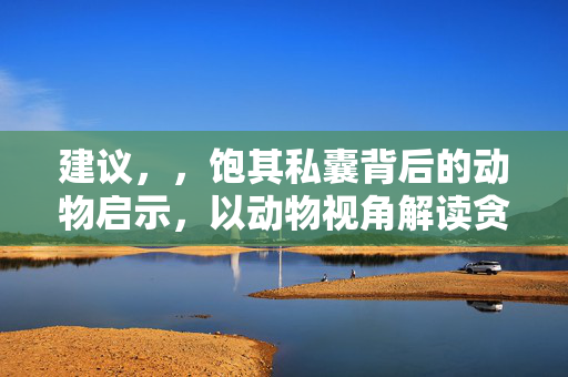 建议，，饱其私囊背后的动物启示，以动物视角解读贪婪与节制之谜。，注，此标题仅供参考，具体标题还需根据文章内容进行调整。