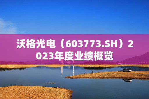 沃格光电（603773.SH）2023年度业绩概览