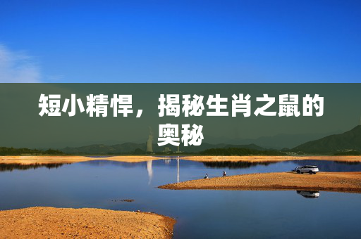短小精悍，揭秘生肖之鼠的奥秘