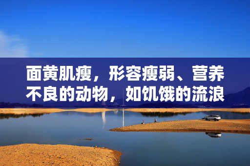 面黄肌瘦，形容瘦弱、营养不良的动物，如饥饿的流浪狗或某些营养不良的家畜。