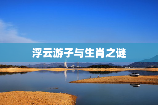 浮云游子与生肖之谜