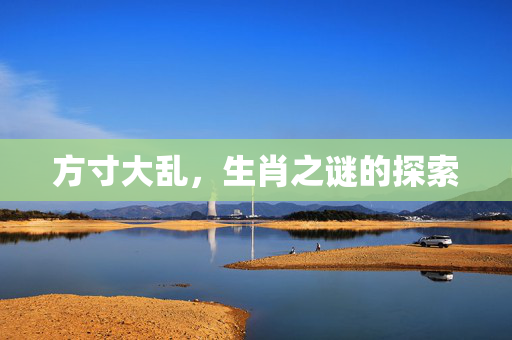 方寸大乱，生肖之谜的探索