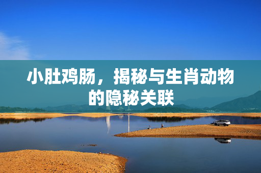 小肚鸡肠，揭秘与生肖动物的隐秘关联