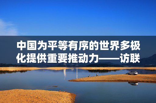 中国为平等有序的世界多极化提供重要推动力——访联合国前副秘书长阿拉基