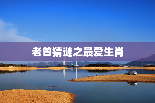 老曾猜谜之最爱生肖