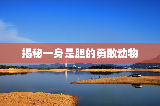 揭秘一身是胆的勇敢动物