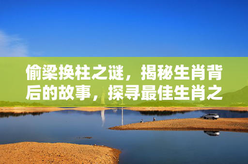 偷梁换柱之谜，揭秘生肖背后的故事，探寻最佳生肖之谜。