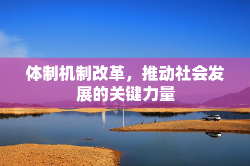 体制机制改革，推动社会发展的关键力量