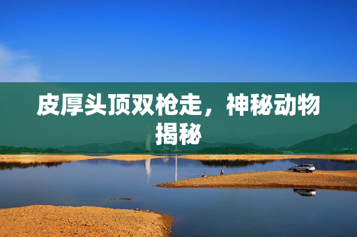 皮厚头顶双枪走，神秘动物揭秘