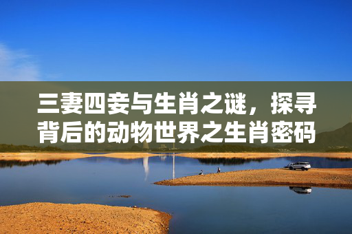 三妻四妾与生肖之谜，探寻背后的动物世界之生肖密码