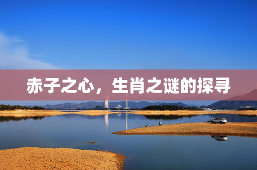 赤子之心，生肖之谜的探寻