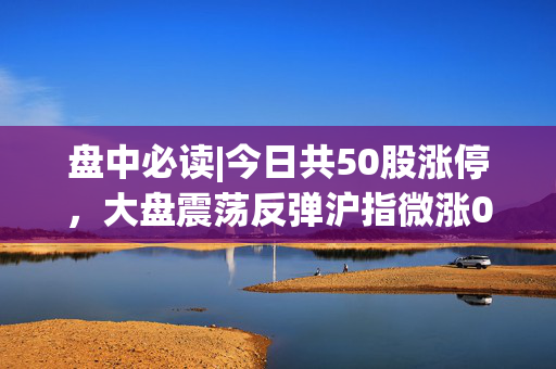 盘中必读|今日共50股涨停，大盘震荡反弹沪指微涨0.15%，化工板块持续大涨